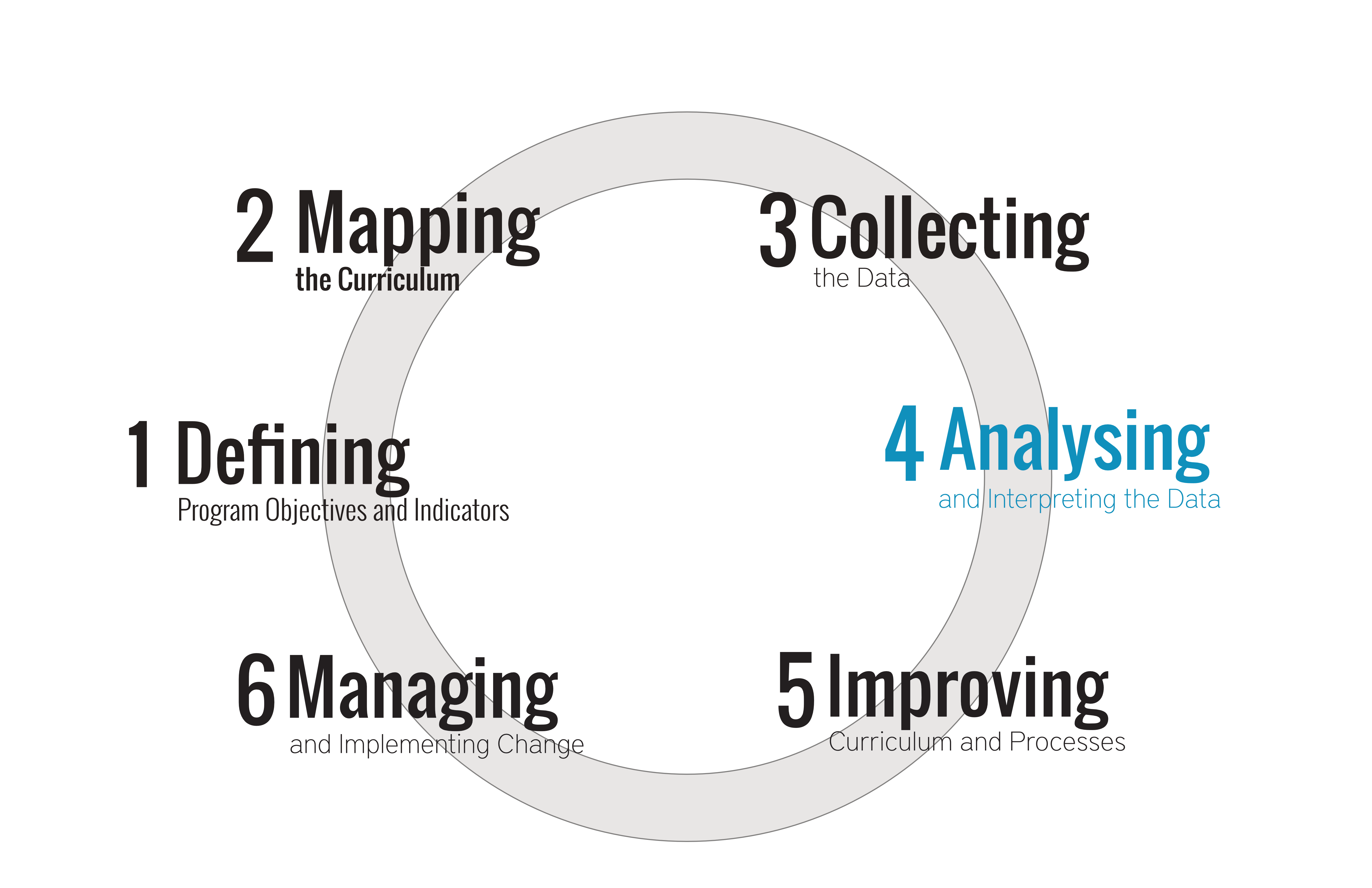 Step 4: Analysing and Interpreting the Data